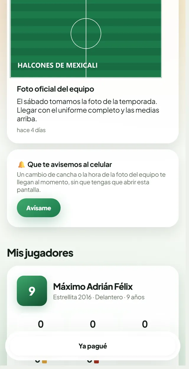 Pantalla de la familia: la tarjeta del hijo con sus partidos, goles, asistencias y tarjetas